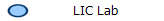 LIC Lab