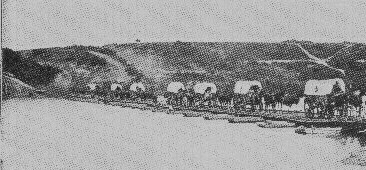 Picture of Wagon Train