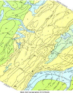 Image25.gif (35925 bytes)