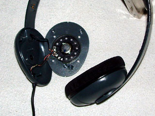 inside enclosure