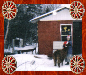 Christmas 2004