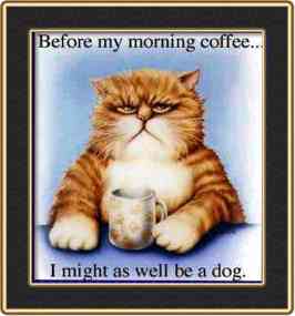 Grumpy cat graphic - Before my morning coffee.. I might as well be a dog