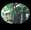 Tropical hideaways - Amity Bungalows