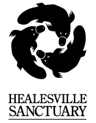 Healesville wildlife sanctuary. This is a magic place!
