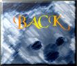Back to Focus State Page