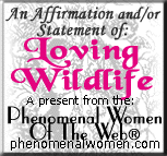 Phenomenal Women of the Web