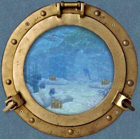 Through the porthole..The angelfish greet a newcomer