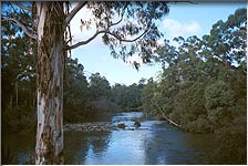 The Yarra River
