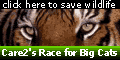Please take just a moment to click & save the big cat of your choice - it's free