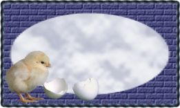 card 2
