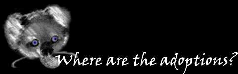 Where are the adoptions?