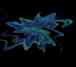blue starsplash divider 