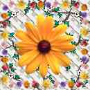 square - floral