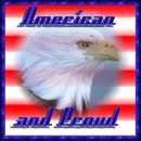 American and proud - bald eagle