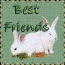 forever friends - bunnies
