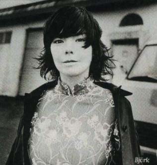 bjork01.jpg (22504 bytes)