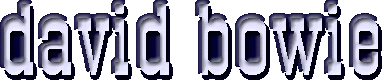 bowie_ban.gif (11926 bytes)