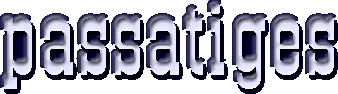 passat_ban.gif (11834 bytes)