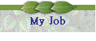 My Job