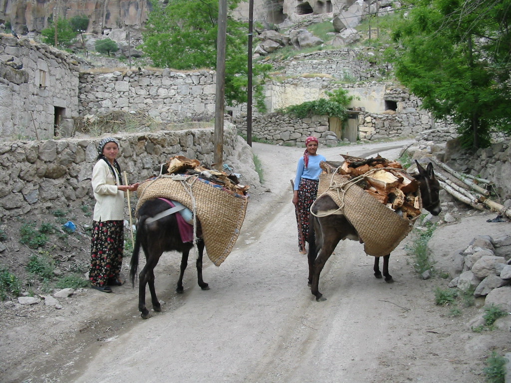 Donkey girls in Bellisirma