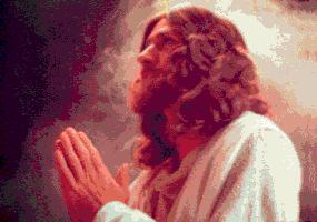 Vivat Jesus