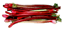 Rhubarb Tart Song - Lyrics