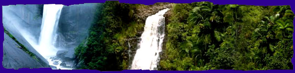 Falls