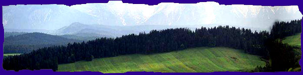 Palani Hills
