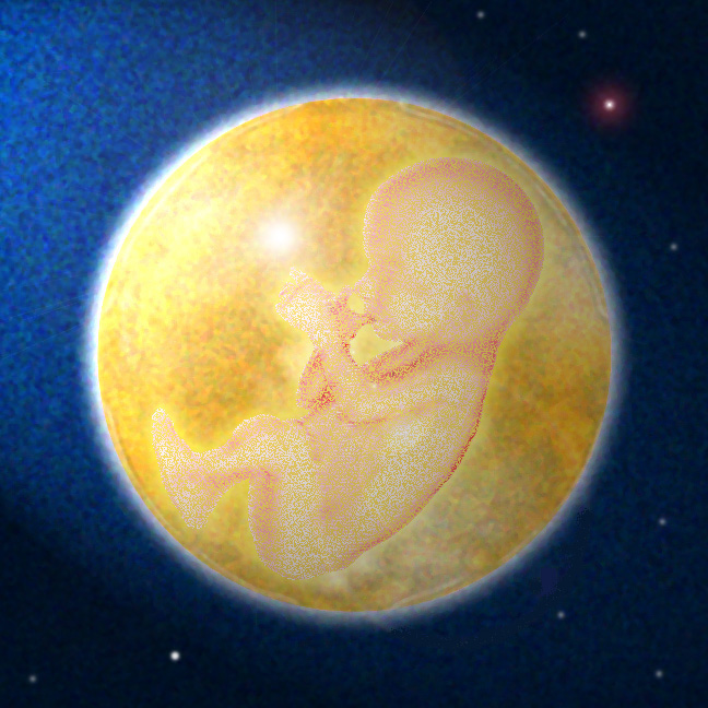 Pro Life Memorial