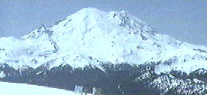 MT