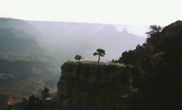 Grand Canyon - morning light