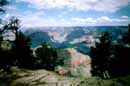 Grand Canyon Picture