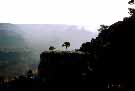 Grand Canyon Picture