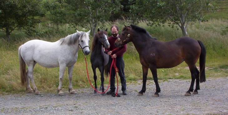 Bridgette, Moonshadow and Sue