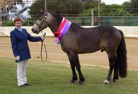 Dover at the Show