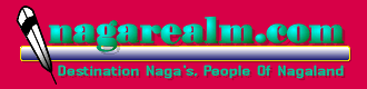 Visit Nagarealm.com