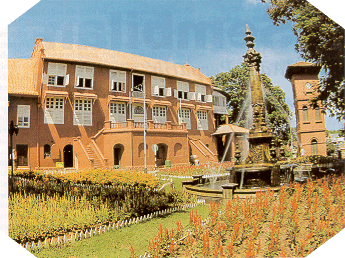 stadarea.gif (86424 bytes)
