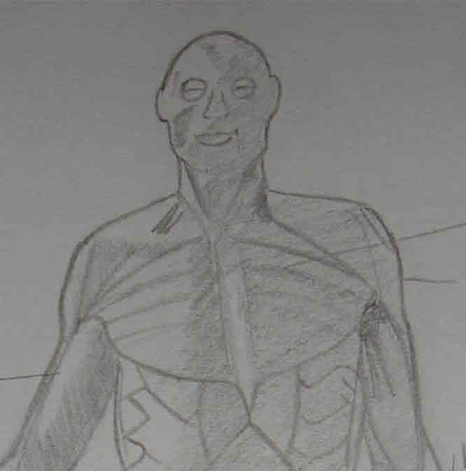 Anatomy Front