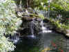 BOBSFALLS.jpg (478836 bytes)