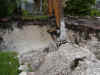 DIG1.jpg (469644 bytes)