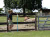 KOIRODEO.jpg (450996 bytes)