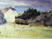 Summer landscape