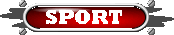 Ice hockey, tennis, golf, soccer, skiing, track & field, ski jump etc.