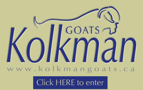 Kolkman Goats - click here to enter