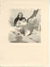 Bea_en_Jacques_1957