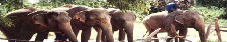 [Marvelous destinations in Thailand]