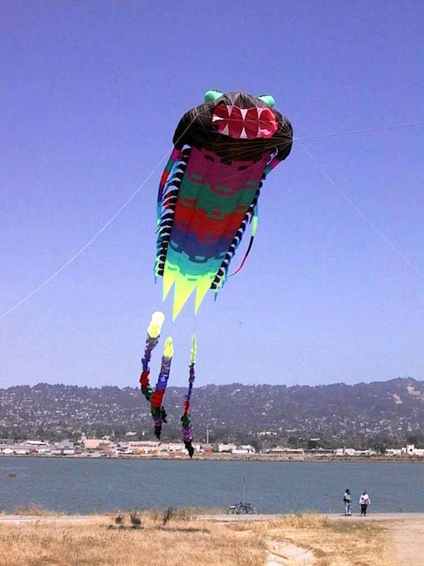 [A beautiful kite flying in the horizon]