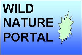 Click to dive into the Creature Portal
