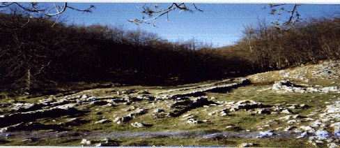 CALZADA ROMANA 