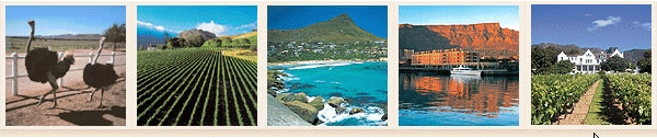 Kontrei Traveller Portfolio Travel Banner
